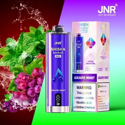 JNR Shisha Max 22K Grape Mint | 22000 Puffs Disposable Vape